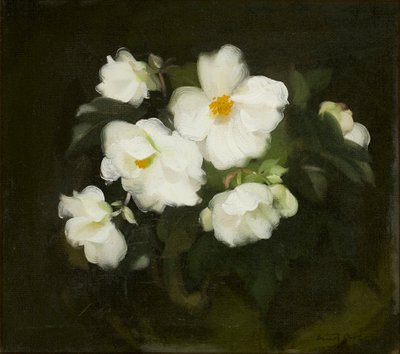 Weiße Rosen von Stuart Park