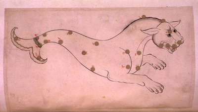 Sternbilder: Cetus, der Wal von Suvar Al Kavakib