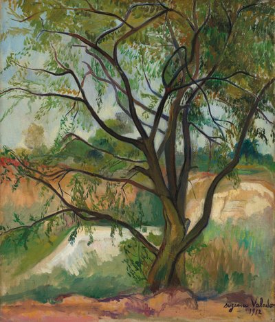 Der Baum, 1912 von Suzanne Valadon
