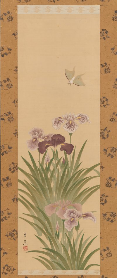 Schwertlilien und Motte, ca. 1850 von Suzuki Kiitsu
