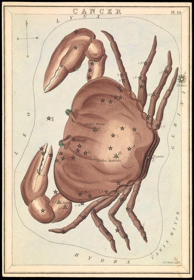 Krebs, ca. 1825 von Sydney Hall