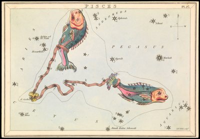Fische, ca. 1825 von Sydney Hall