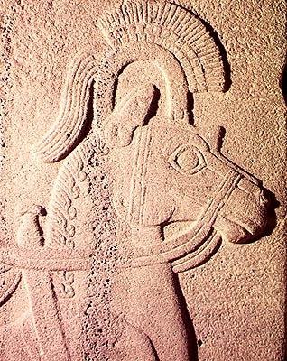 Detail eines Pferdekopfes von Syrian Syrian