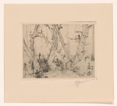 Waldansicht von T. Sterrenburg (signed by artist)