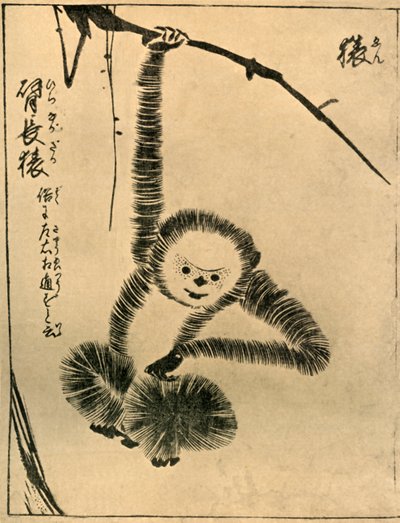 Affe, 1720, 1924 von Tachibana Morikuni