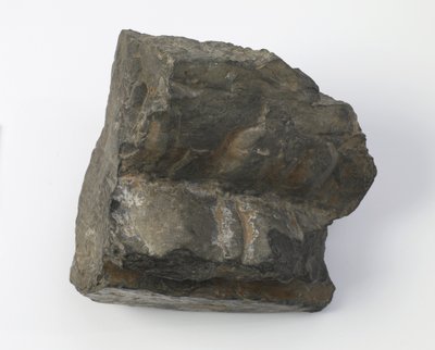 Fragment eines Lotus-Sockels von Tang Dynasty Chinese School