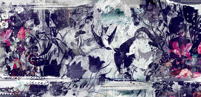 Bruderschaft von Teis Albers