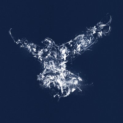 Im Flug, 2019 von Teis Albers