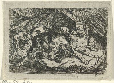 Nest mit jungen Hunden von Tethart Philip Christian Haag