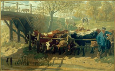 Dürstende Kühe von Teutwart Schmitson