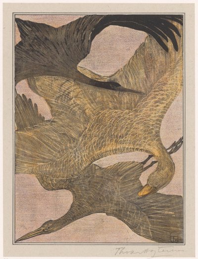 Drei fliegende Vögel von Theo van Hoytema (signed by artist)