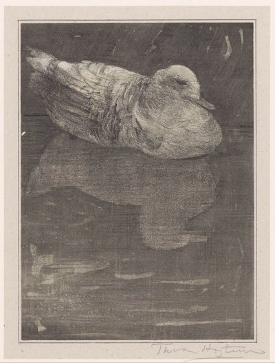 Schwimmende Ente von Theo van Hoytema (signed by artist)