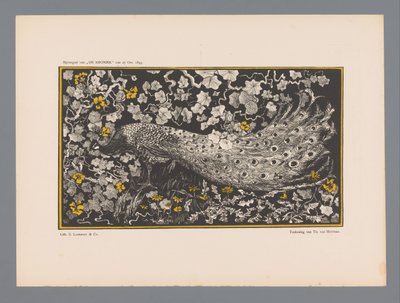 Pfau von Theo van Hoytema