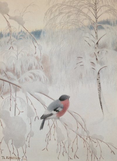 Gimpel von Theodor Kittelsen