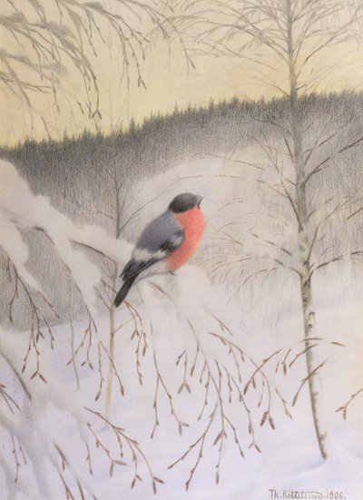 Gimpel auf frostigem Zweig von Theodor Kittelsen