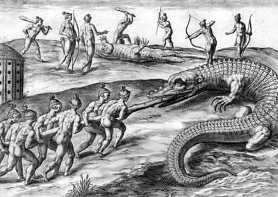 Timucuan-Indianer jagen Alligator von Theodor de Bry