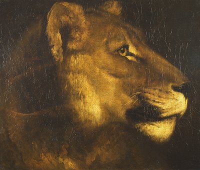 Kopf einer Löwin von Theodore Gericault