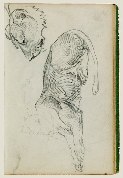 Sitzender Löwe, Kopf einer Löwin von Theodore Gericault