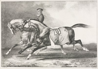 Zwei gescheckte Pferde beim Üben, 1822 von Theodore Gericault