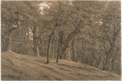 Im Wald von Fontainebleau von Theodore Rousseau
