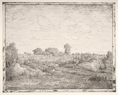 Die Ebene von La Plante bei Biau von Theodore Rousseau