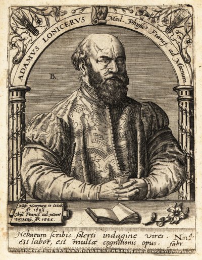 Adam Lonicer oder Lonitzer von Theodore de Bry