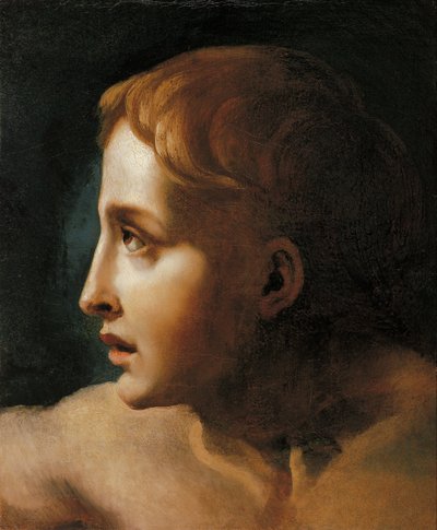 Kopf eines Jugendlichen von Theodore Gericault