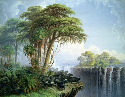 Unbekanntes Bild von Thomas Baines