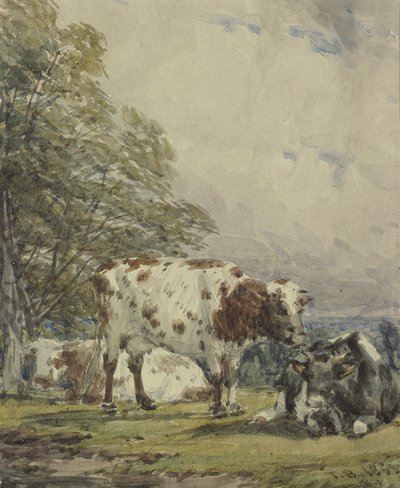 Studie von Rindern, 19. Jahrhundert von Thomas Baker