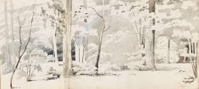Ein Laubengang umgeben von Bäumen (recto) von Thomas Baxter