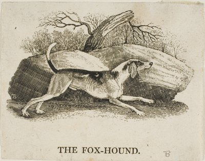 Fuchshund von Thomas Bewick