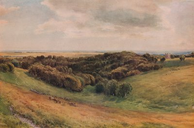 Arundel Park von Thomas Collier