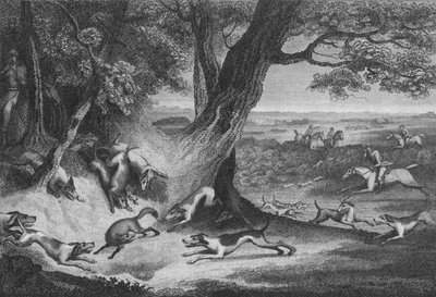 Tod des Fuchses, 1793 von Thomas Cook