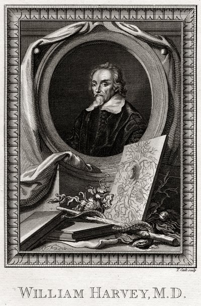 William Harvey, 1777 von Thomas Cook