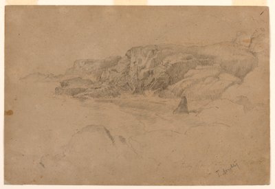 Studie aus der Natur von Thomas Doughty