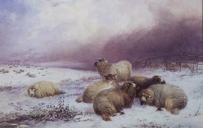 Winterlandschaft mit Schafen von Thomas Francis Wainewright