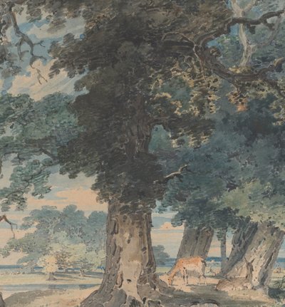 Hirsche im Windsor Forest, 1793-94 von Thomas Girtin