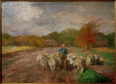Schafherde im Sonnenlicht von Thomas Ludwig Herbst