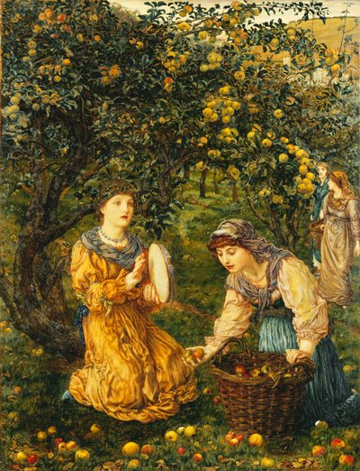 Äpfel pflücken von Thomas Matthews Rooke