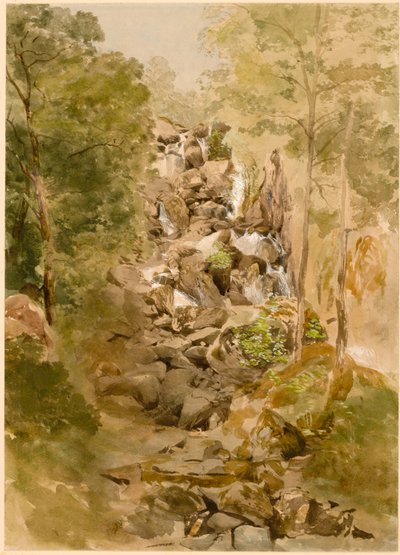 Landschaft mit Wasserfall von Thomas Miles Richardson