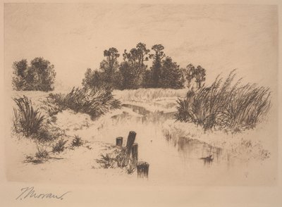 Passaic Meadows (In den Newark Meadows) von Thomas Moran