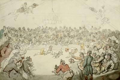 Der Westminster Pitt, 1798 von Thomas Rowlandson