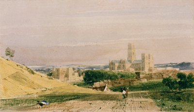 Durham von den Feldern aus von Thomas Shotter Boys