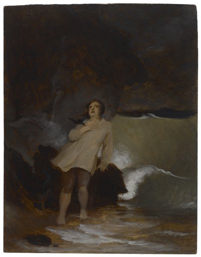 Das Schiffswrack von Robinson Crusoe von Thomas Sully