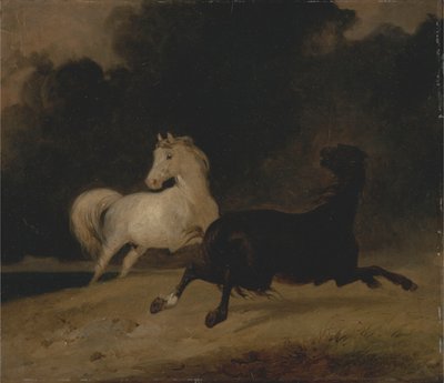 Pferde in einem Gewitter von Thomas Woodward
