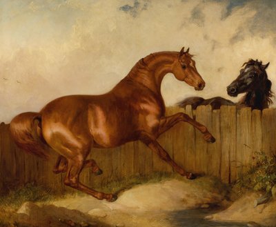 Hengst und Stute von Thomas Woodward