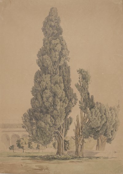 Zypressen von Thorald Brendstrup
