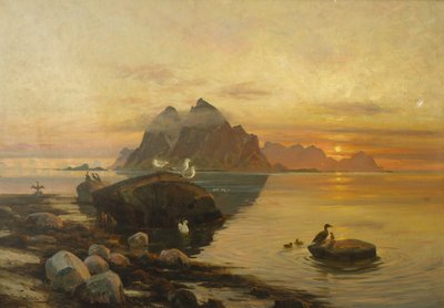 Vogelleben von Thorolf Holmboe