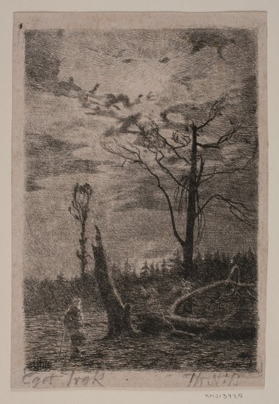 Waldrodung. Abend von Thorvald Niss
