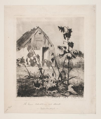 Sonnenblumen am Haus von Thorvald Niss
